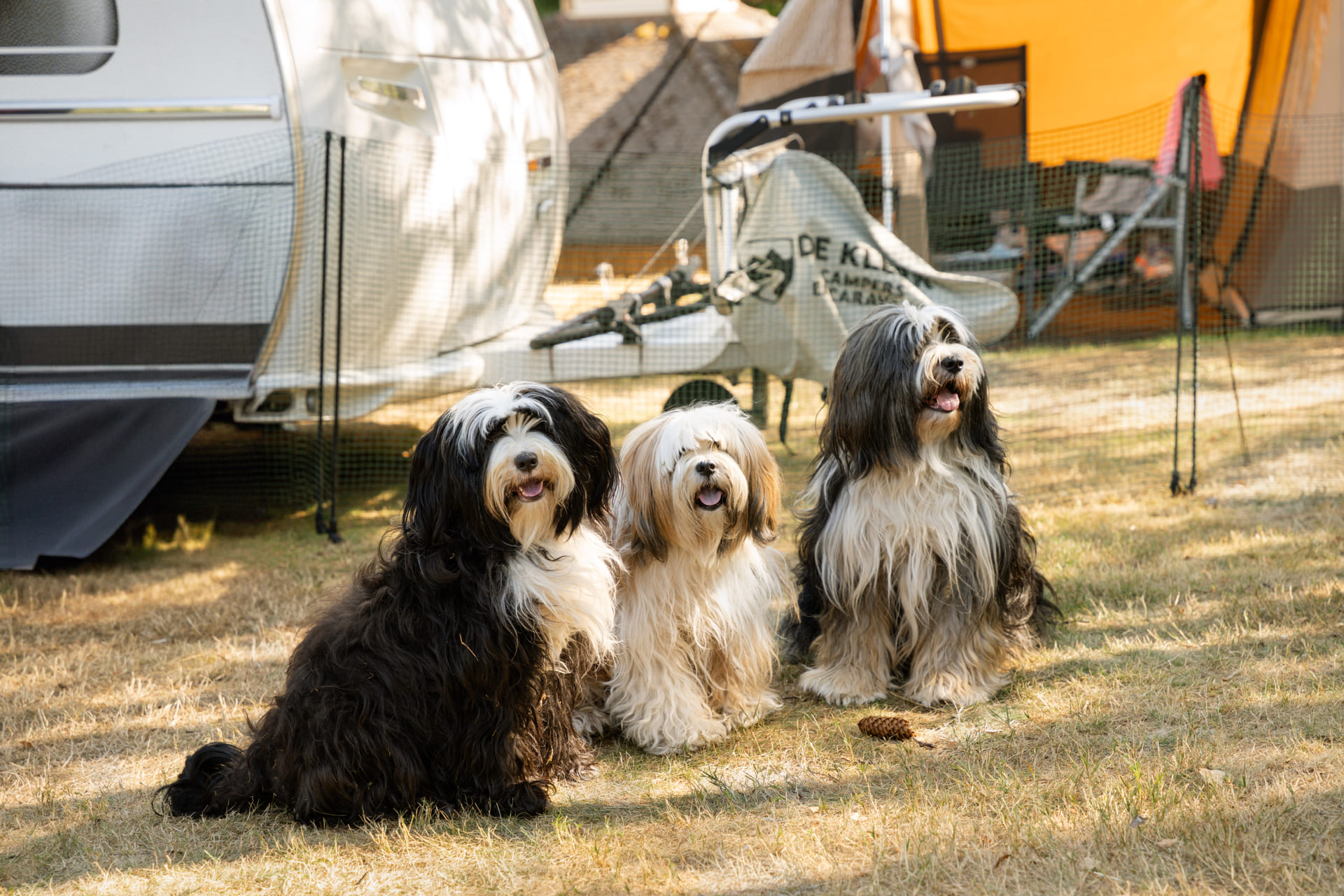 camping avec service 4 etoiles