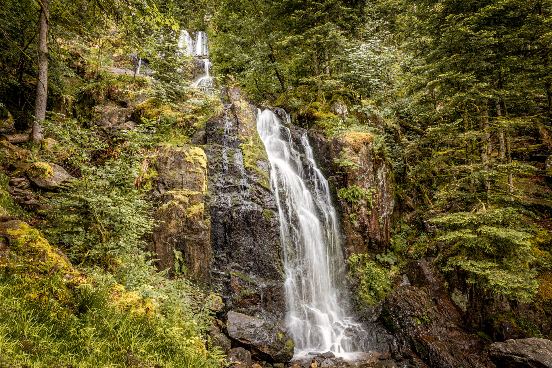 Cascade de tendon Vosges