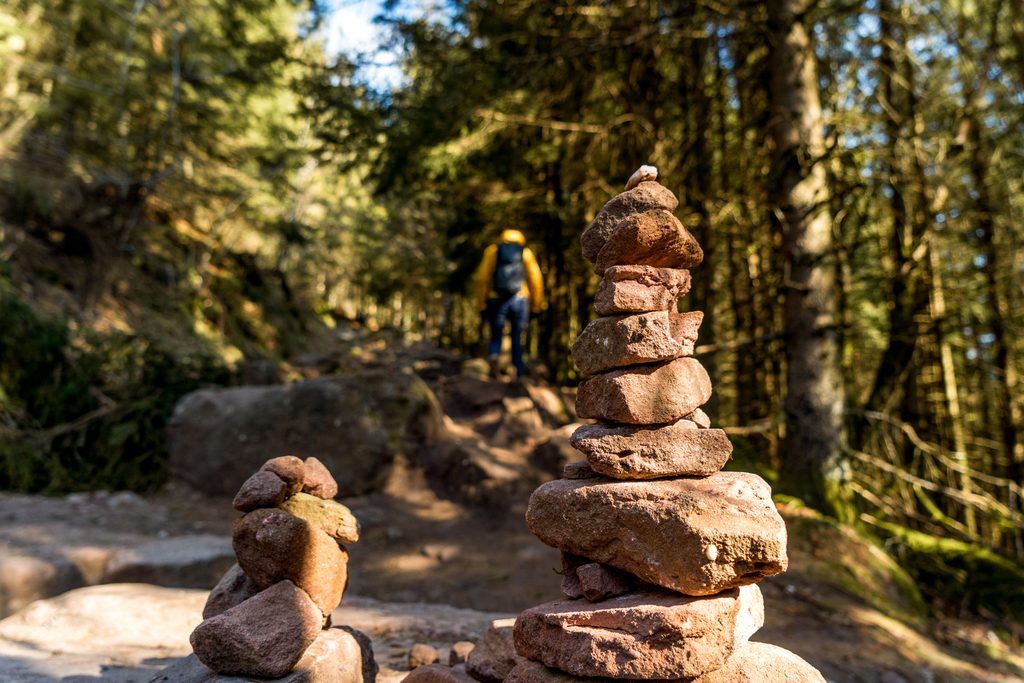 Randonnée dans les vosges