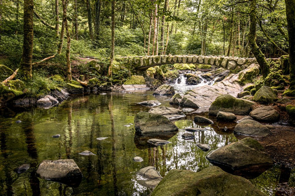Saut des cuves vosges