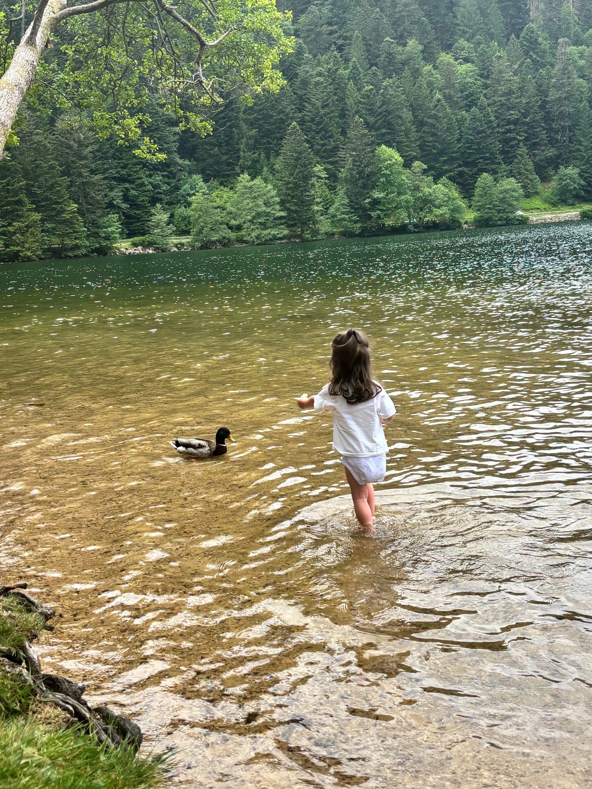 bébé lac de gerardmer