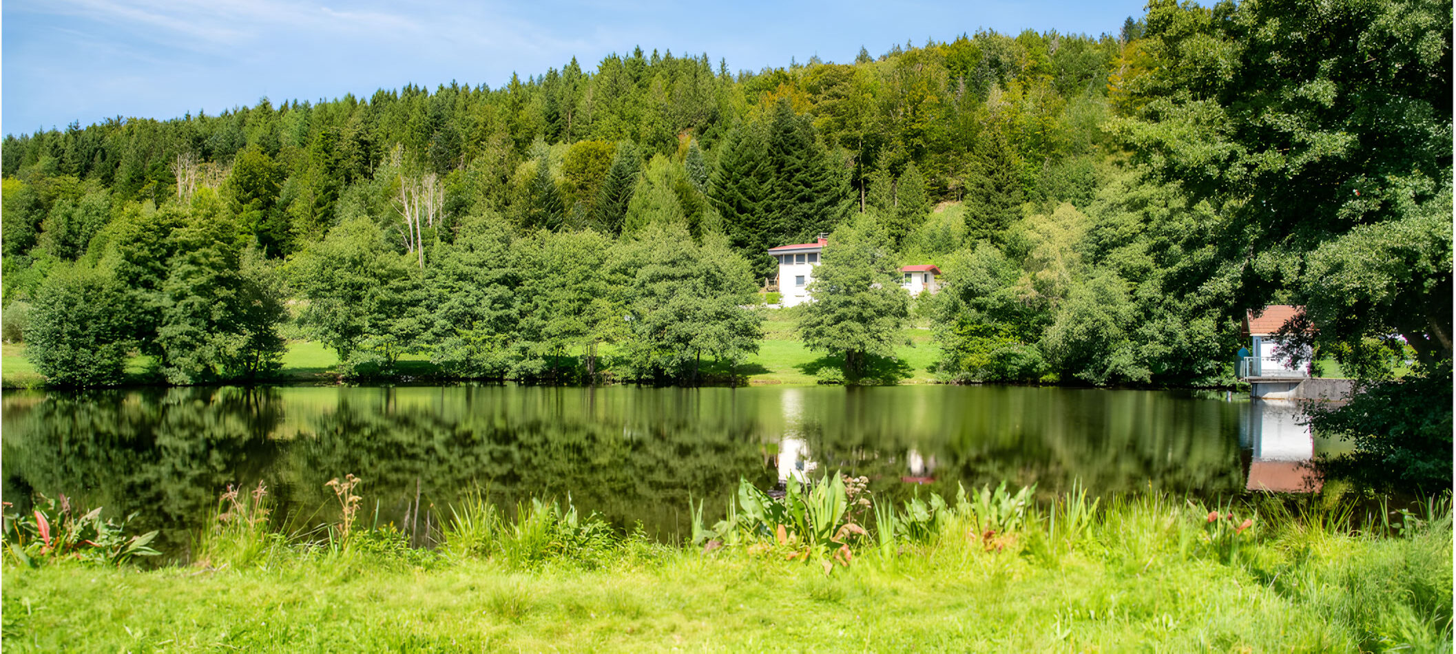 camping proche etang de peche