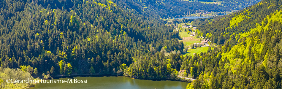 camping proche lac et étangs dans les vosges