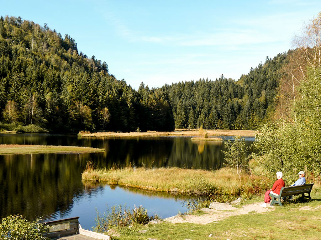 camping vosges peche