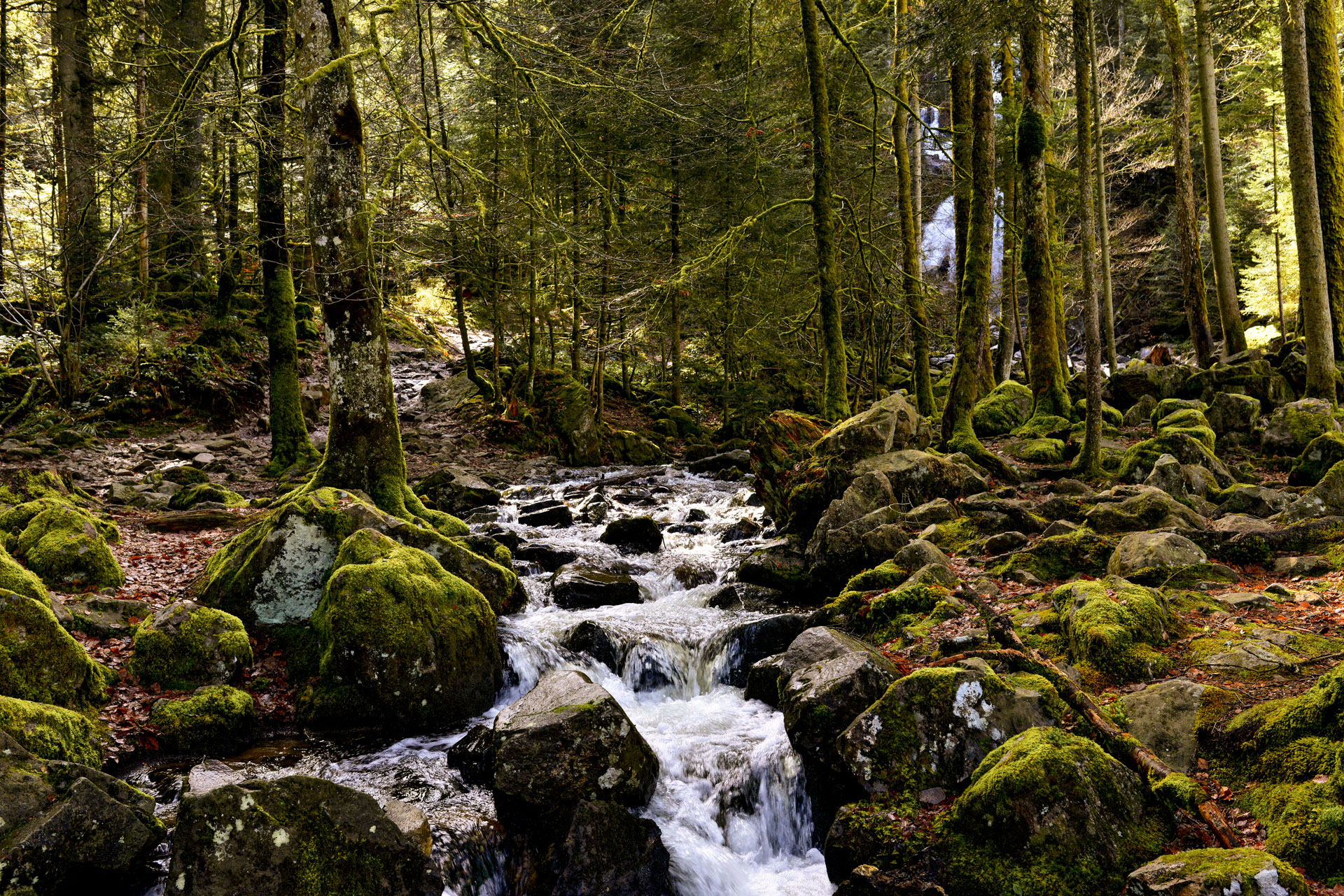 cascade dans les vosges