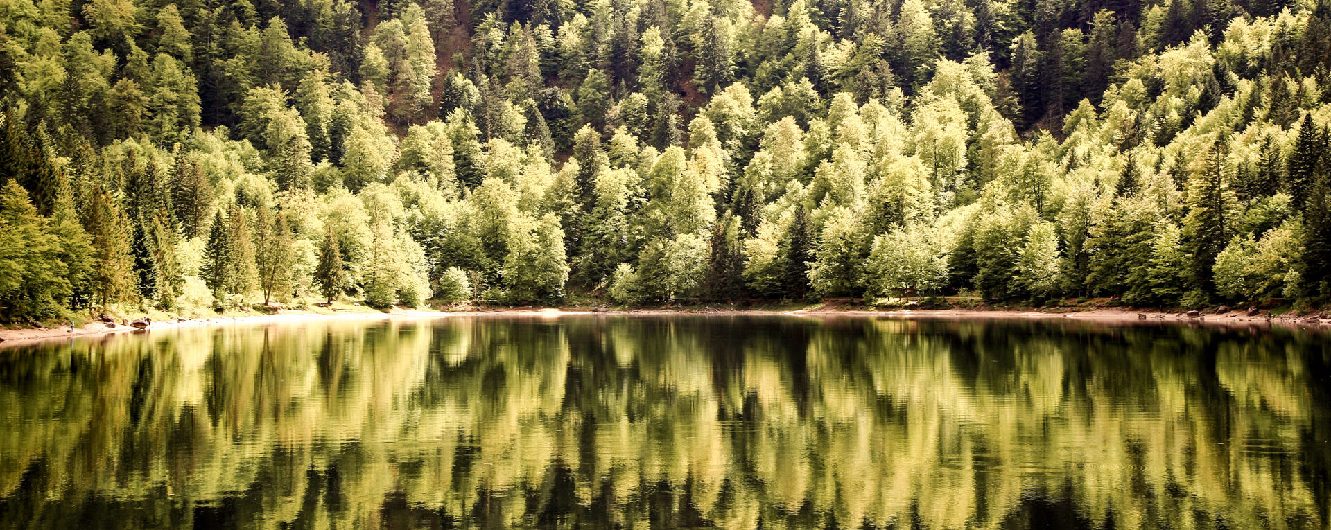 lac des corbeaux