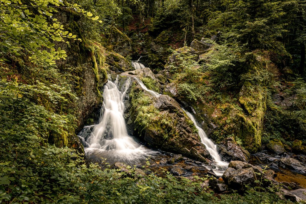 petite cascade de tendon dans les vosges