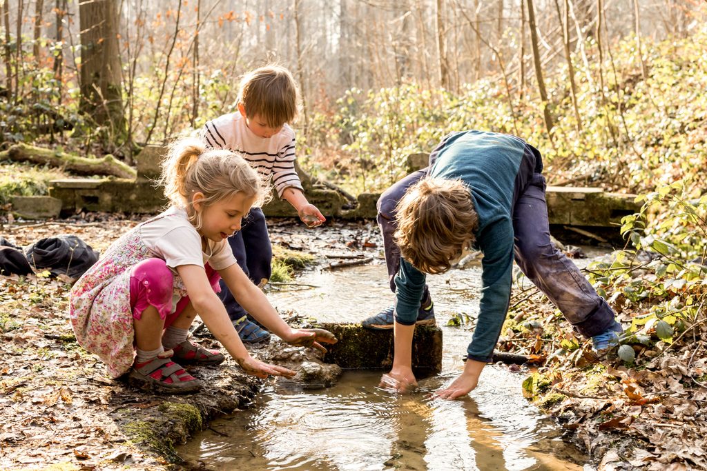 sortie familiale vosges cascade