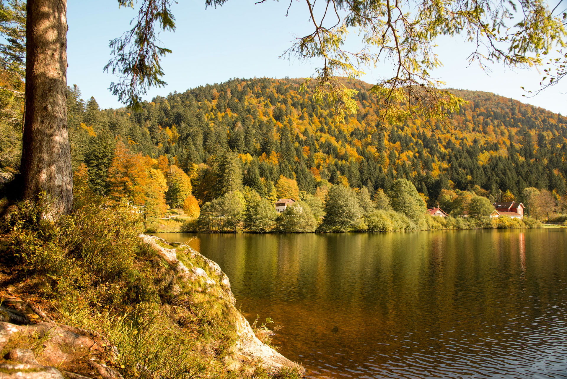 vue lac gerardmer